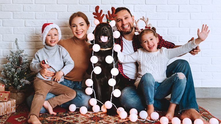 Decoración Navideña 2023: Adorma tu Casa con Nosotros
